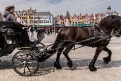 Nice horse driven carriage ride in Market square