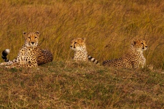 Family Resting After a Failed Hunt