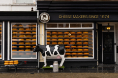 Many Cheese Stores in Amsterdam